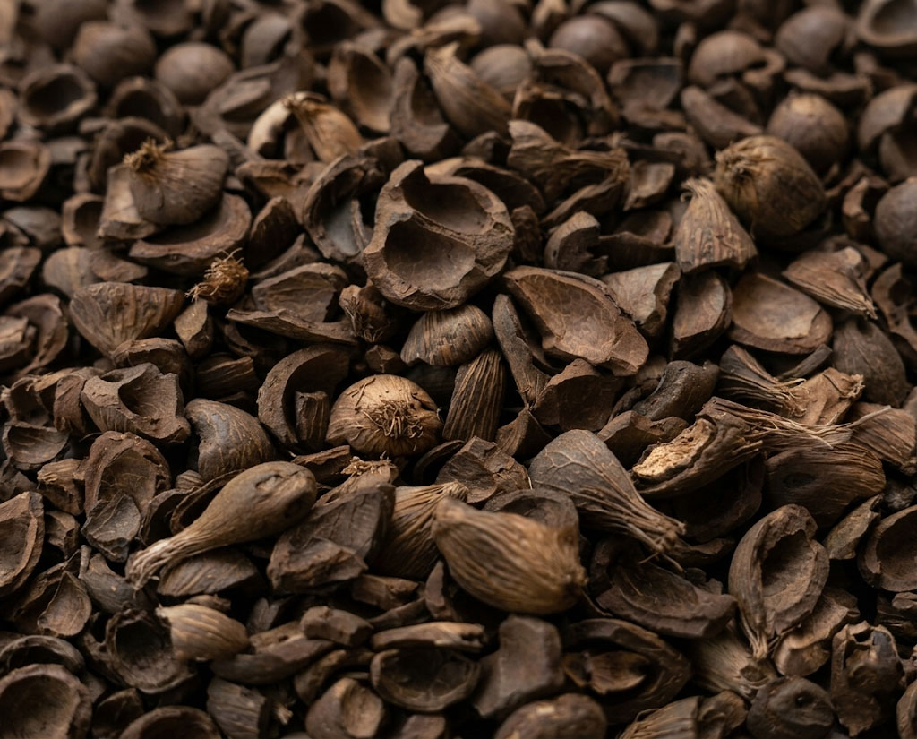 Palm Kernel Shells